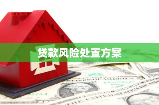 大冶贷款风险处置方案