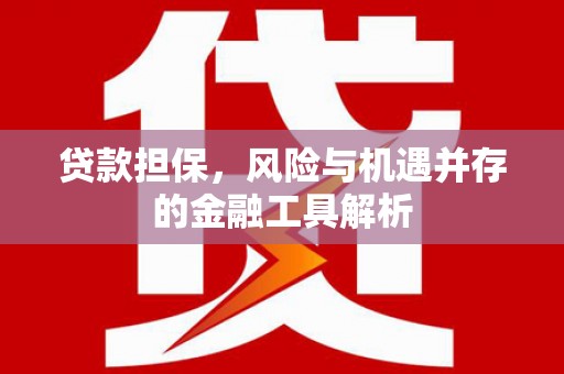 大冶贷款担保，风险与机遇并存的金融工具解析