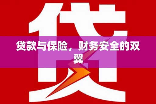 大冶贷款与保险，财务安全的双翼