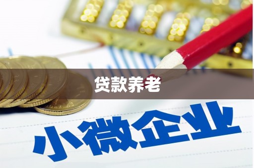 大冶贷款养老